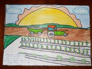 38_Istvan Bianca_Sc Miresu M_Gimn